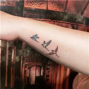 Uan Renkli Kular Dvmesi / Colourful Flying Birds Tattoo
