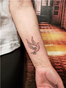 Gvercin Dvmesi / Pigeon Tattoo